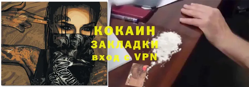 Cocaine FishScale  закладки  Александровск 